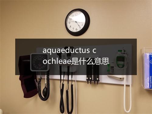 aquaeductus cochleae是什么意思