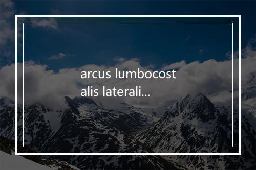 arcus lumbocostalis lateralis是什么意思