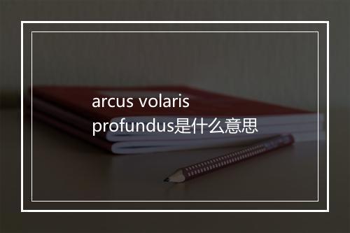 arcus volaris profundus是什么意思