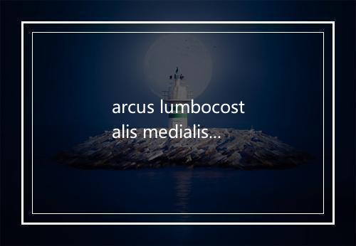 arcus lumbocostalis medialis是什么意思