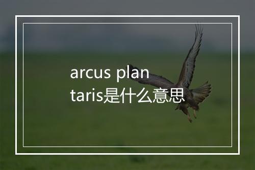 arcus plantaris是什么意思