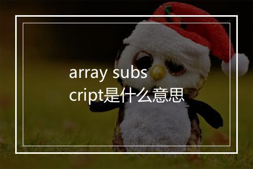 array subscript是什么意思