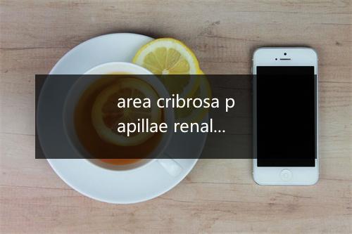 area cribrosa papillae renallis是什么意思