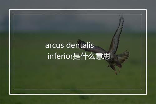 arcus dentalis inferior是什么意思