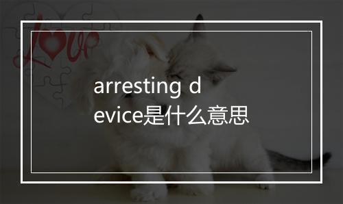 arresting device是什么意思