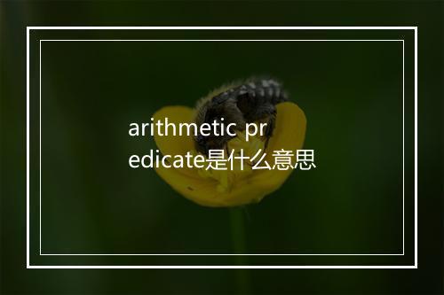 arithmetic predicate是什么意思