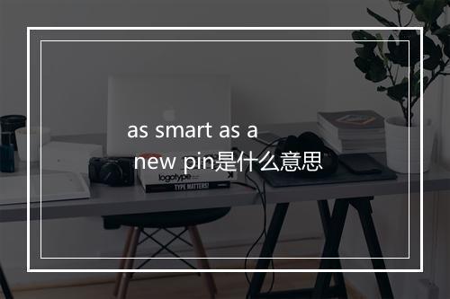 as smart as a new pin是什么意思