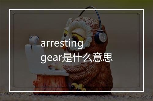 arresting gear是什么意思