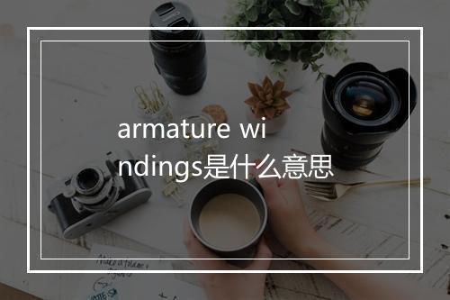 armature windings是什么意思