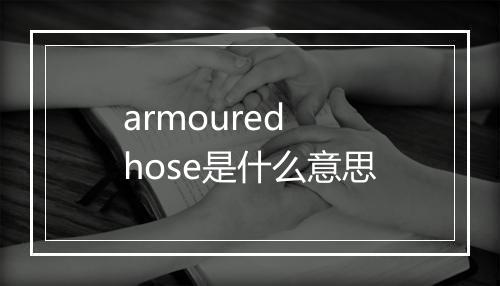 armoured hose是什么意思