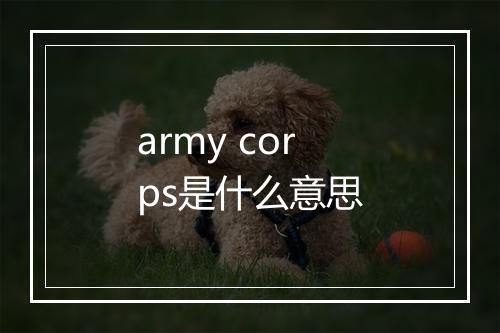 army corps是什么意思