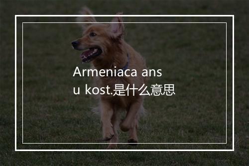 Armeniaca ansu kost.是什么意思