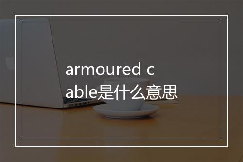 armoured cable是什么意思