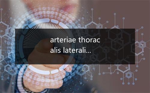 arteriae thoracalis lateralis是什么意思