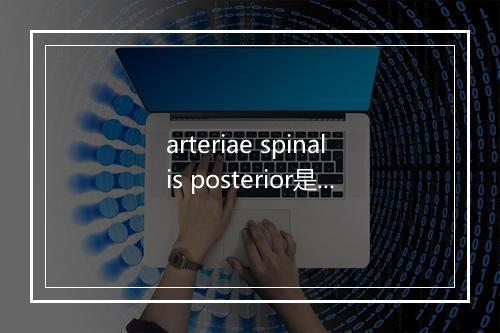 arteriae spinalis posterior是什么意思