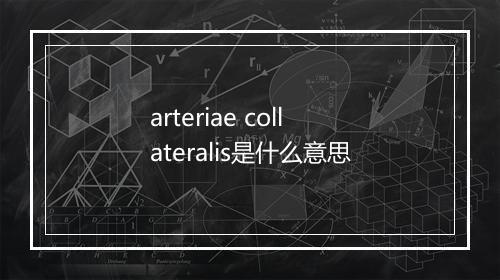 arteriae collateralis是什么意思