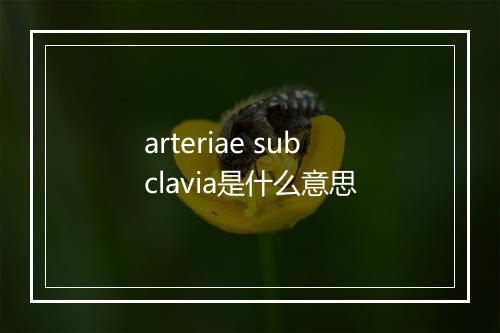 arteriae subclavia是什么意思