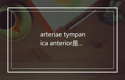 arteriae tympanica anterior是什么意思