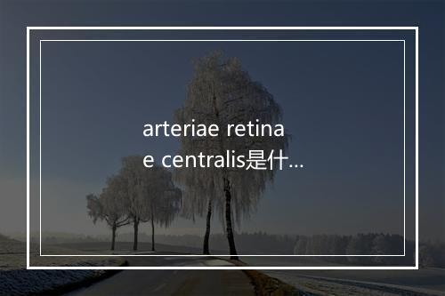 arteriae retinae centralis是什么意思