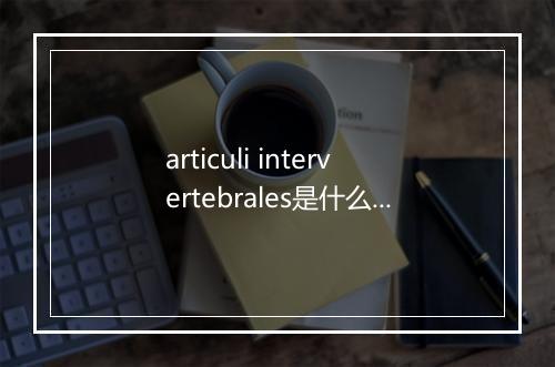 articuli intervertebrales是什么意思