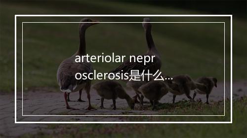 arteriolar neprosclerosis是什么意思