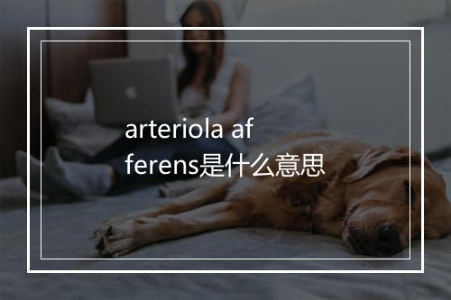 arteriola afferens是什么意思