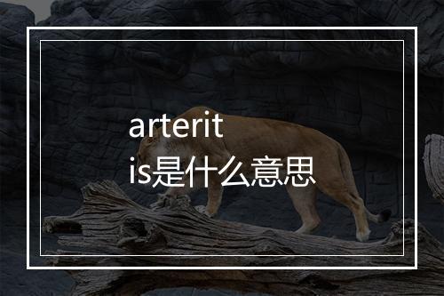 arteritis是什么意思