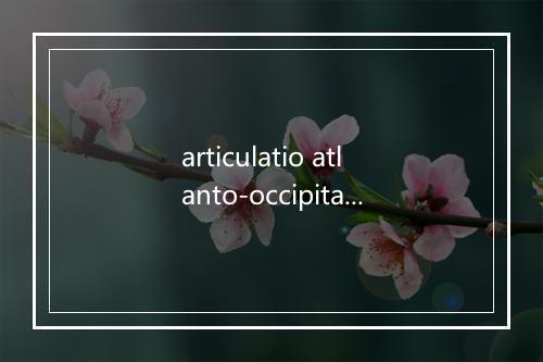 articulatio atlanto-occipitalis是什么意思