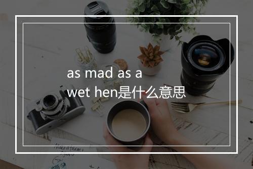 as mad as a wet hen是什么意思