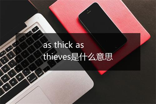 as thick as thieves是什么意思