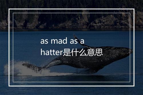 as mad as a hatter是什么意思