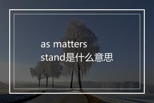 as matters stand是什么意思