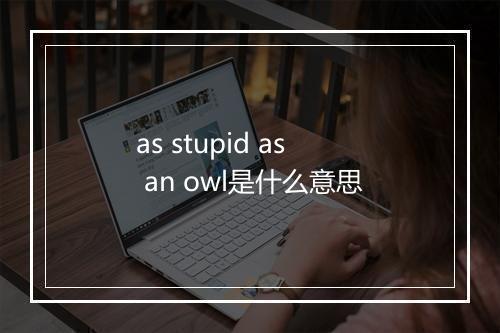 as stupid as an owl是什么意思