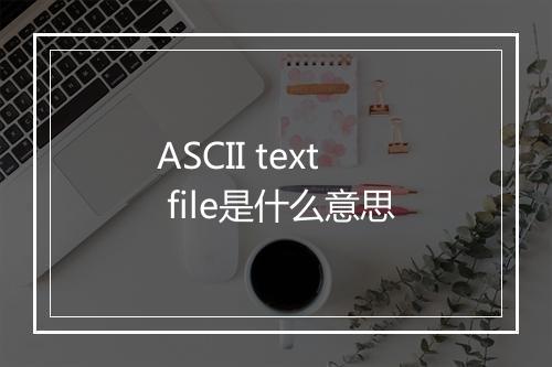 ASCII text file是什么意思