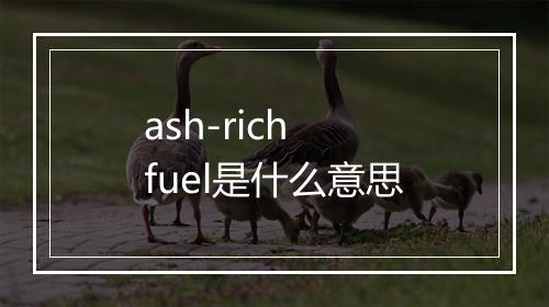 ash-rich fuel是什么意思