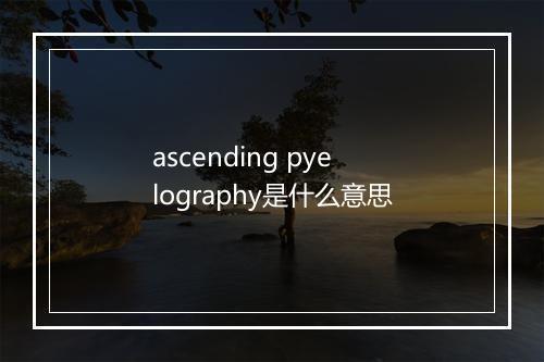 ascending pyelography是什么意思