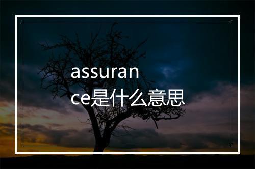 assurance是什么意思