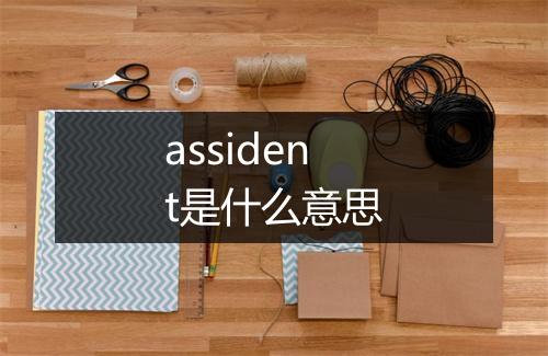 assident是什么意思