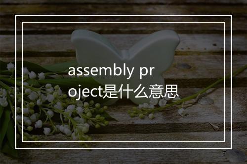 assembly project是什么意思