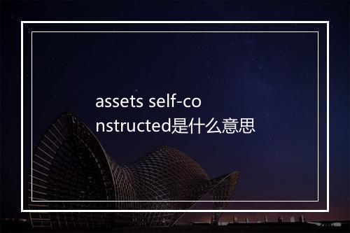 assets self-constructed是什么意思