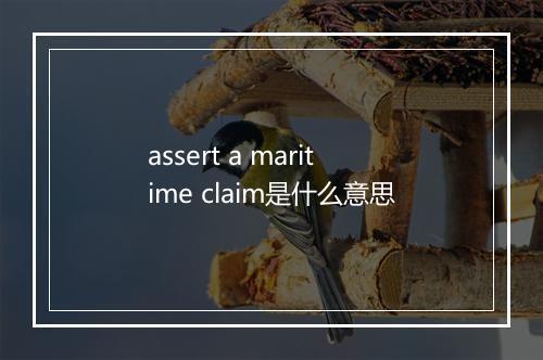 assert a maritime claim是什么意思