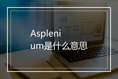 Asplenium是什么意思