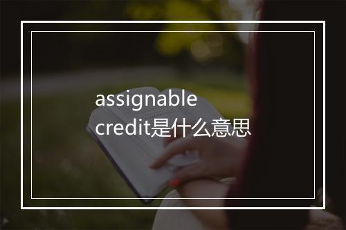 assignable credit是什么意思