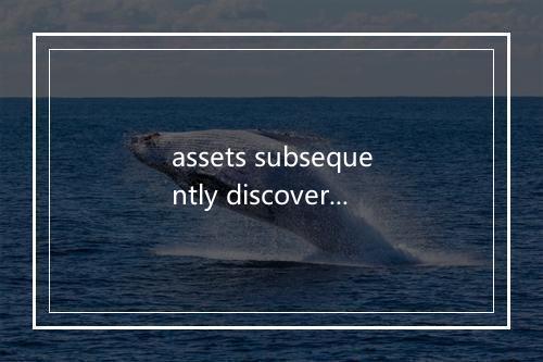 assets subsequently discovered是什么意思