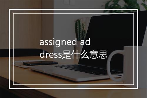 assigned address是什么意思