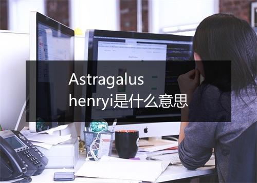 Astragalus henryi是什么意思