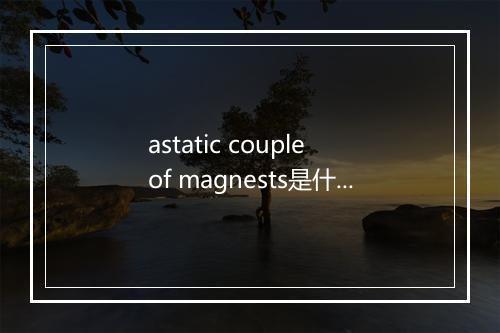 astatic couple of magnests是什么意思