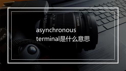 asynchronous terminal是什么意思