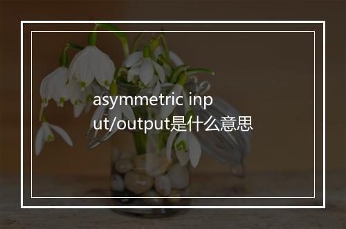 asymmetric input/output是什么意思