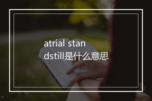 atrial standstill是什么意思